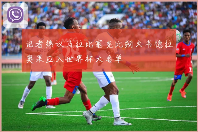 记者热议马拉比塞克比朔夫韦德拉奥果应入世界杯大名单