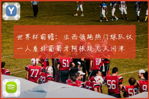 世界杯前瞻：法西领跑热门球队仅一人看好葡萄牙阿根廷无人问津