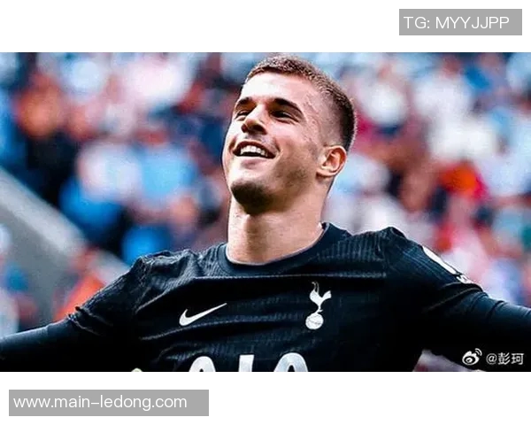 英媒称热刺小将武什科维奇外租汉堡表现优异助球队提升 英媒称热刺小将武什科维奇外租汉堡表现优异助球队提升